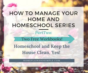 Homeschool and Keep the House Clean