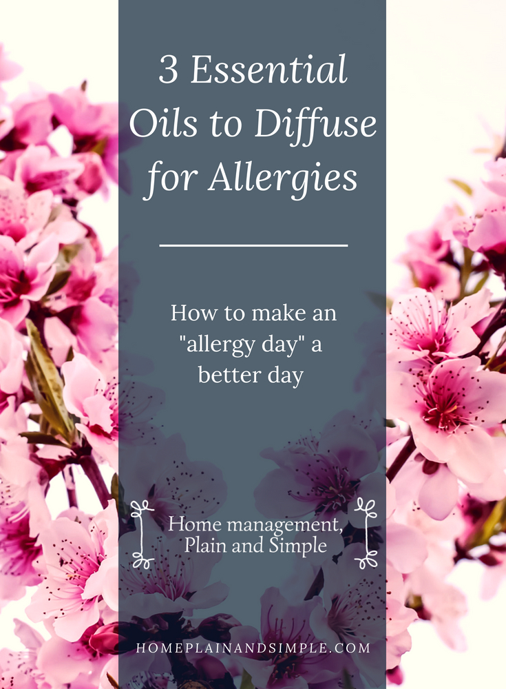 3 Essential Oils to Diffuse for Allergies: How to make an "allergy day" a better day. If allergy symptoms are getting you down and ruining your day, this post is for you! This post includes how-to instructions for a 3 oil allergy relief blend! Click through to get relief from your seasonal allergy woes!