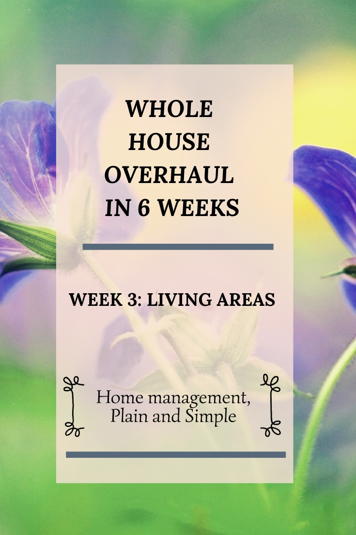 Whole House Overhaul in 6 weeks: Week 3