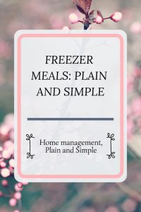 Freezer Meals Plain and Simple. In this post, learn freezer meal tips and hacks for your unique situation!